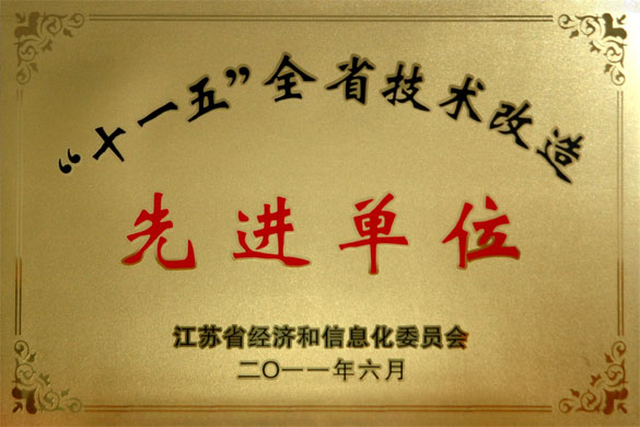 BBIN宝盈集团集团荣获“‘十一五’全省技术改造先进单位”称号