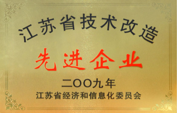 江苏BBIN宝盈集团电缆集团获“2009年江苏省技术改造先进企业”称号