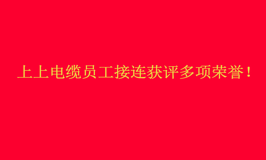 BBIN宝盈集团电缆员工接连获评多项荣誉